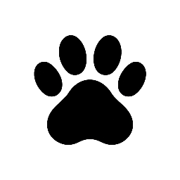 Fundacja KAHU – Serce dla Małych Psiaków